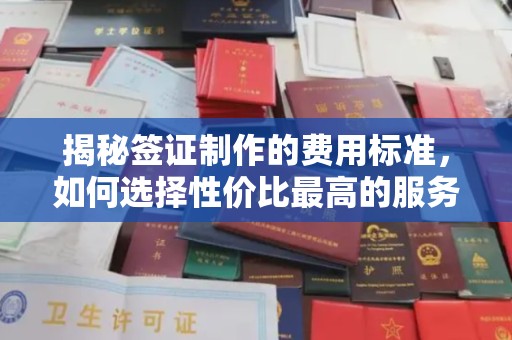 郏县揭秘签证制作的费用标准，如何选择性价比最高的服务？
